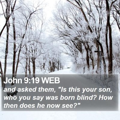 John 9:19 WEB Bible Verse Image