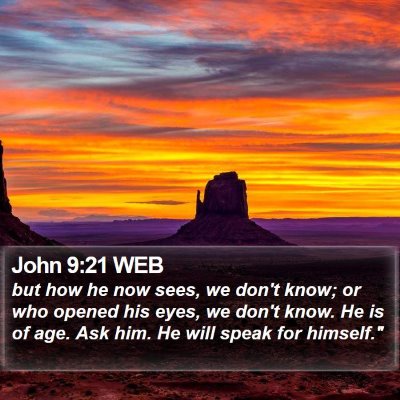 John 9:21 WEB Bible Verse Image