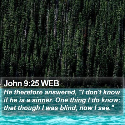 John 9:25 WEB Bible Verse Image