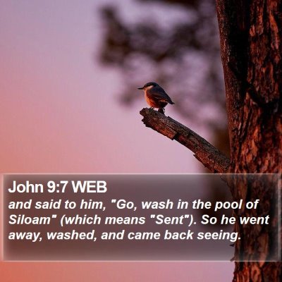 John 9:7 WEB Bible Verse Image
