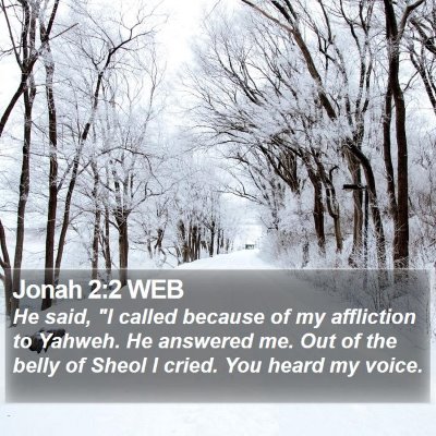 Jonah 2:2 WEB Bible Verse Image