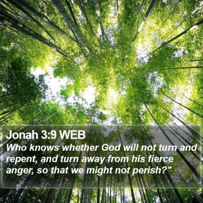 Jonah 3:9 WEB Bible Verse Image