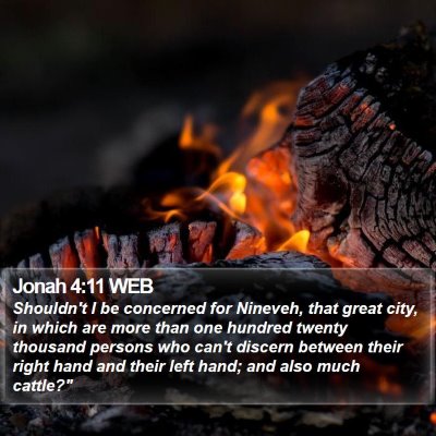 Jonah 4:11 WEB Bible Verse Image