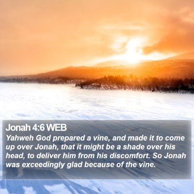 Jonah 4:6 WEB Bible Verse Image
