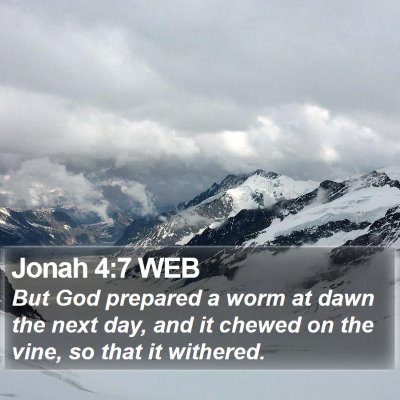 Jonah 4:7 WEB Bible Verse Image