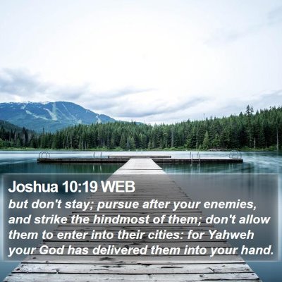 Joshua 10:19 WEB Bible Verse Image