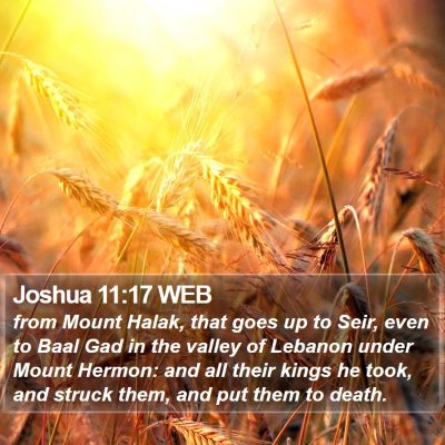 Joshua 11:17 WEB Bible Verse Image