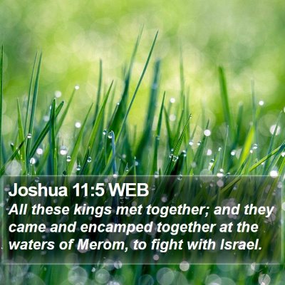 Joshua 11:5 WEB Bible Verse Image