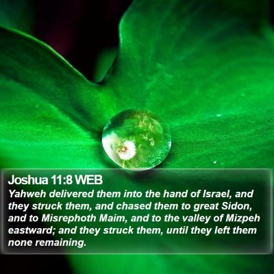 Joshua 11:8 WEB Bible Verse Image