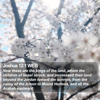 Joshua 12:1 WEB Bible Verse Image