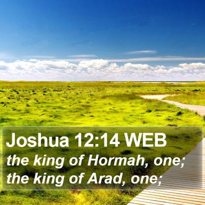 Joshua 12:14 WEB Bible Verse Image