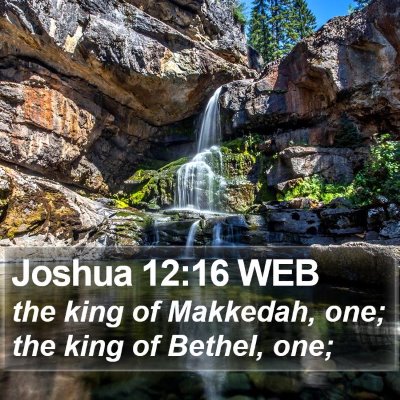 Joshua 12:16 WEB Bible Verse Image