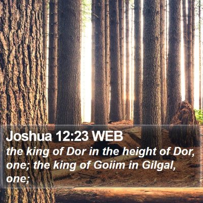 Joshua 12:23 WEB Bible Verse Image
