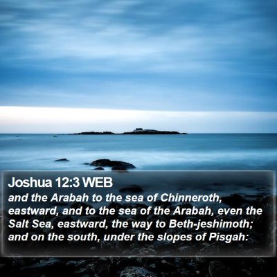 Joshua 12:3 WEB Bible Verse Image