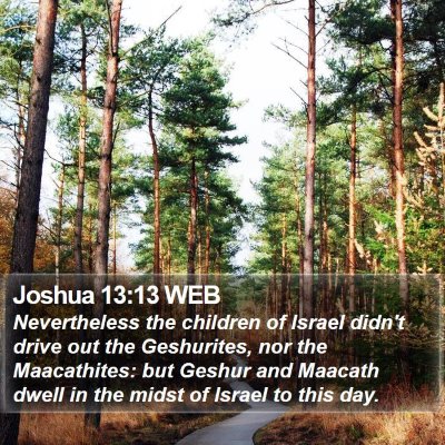 Joshua 13:13 WEB Bible Verse Image
