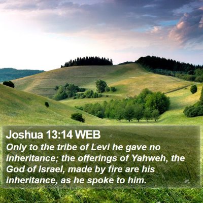 Joshua 13:14 WEB Bible Verse Image