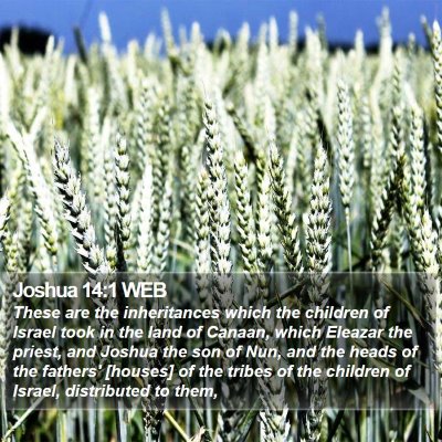 Joshua 14:1 WEB Bible Verse Image