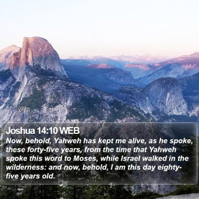 Joshua 14:10 WEB Bible Verse Image
