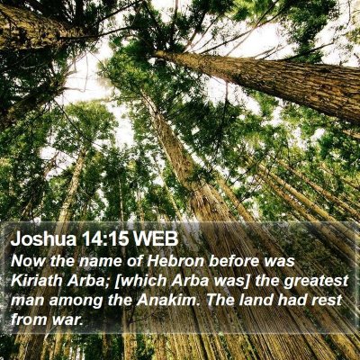 Joshua 14:15 WEB Bible Verse Image