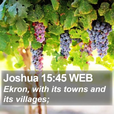 Joshua 15:45 WEB Bible Verse Image