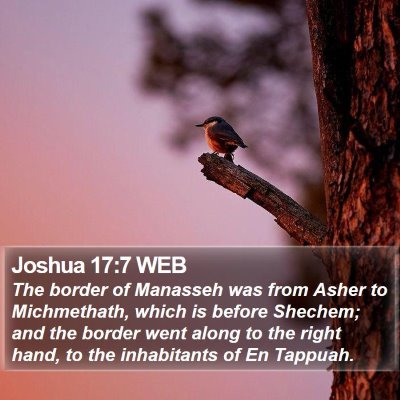 Joshua 17:7 WEB Bible Verse Image