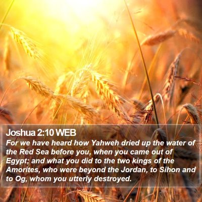 Joshua 2:10 WEB Bible Verse Image