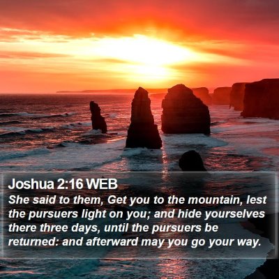 Joshua 2:16 WEB Bible Verse Image