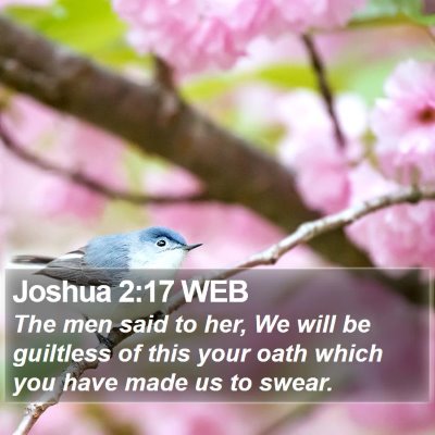 Joshua 2:17 WEB Bible Verse Image