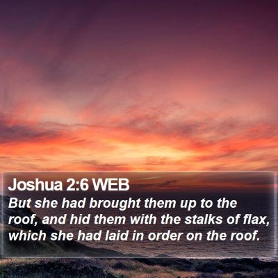 Joshua 2:6 WEB Bible Verse Image