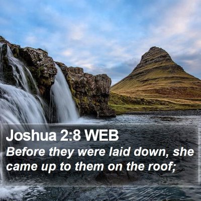 Joshua 2:8 WEB Bible Verse Image