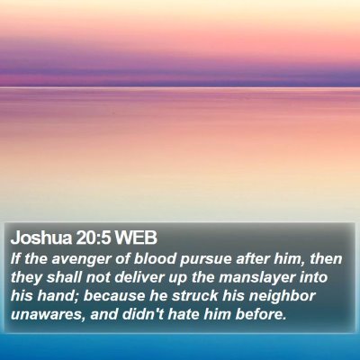 Joshua 20:5 WEB Bible Verse Image