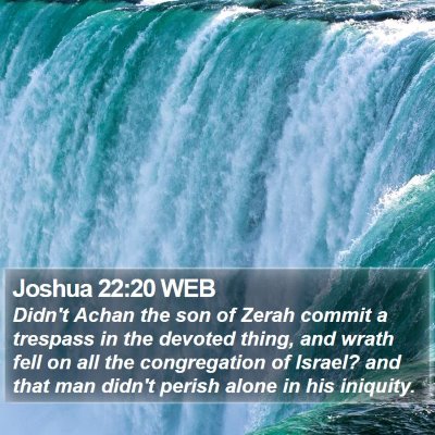 Joshua 22:20 WEB Bible Verse Image