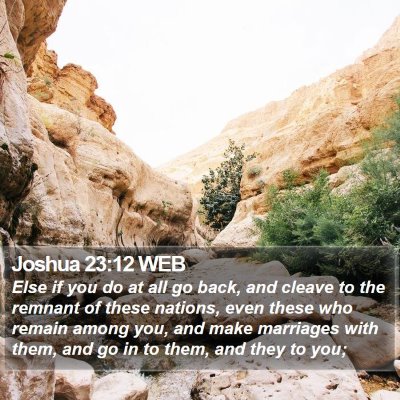 Joshua 23:12 WEB Bible Verse Image