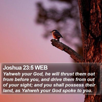 Joshua 23:5 WEB Bible Verse Image