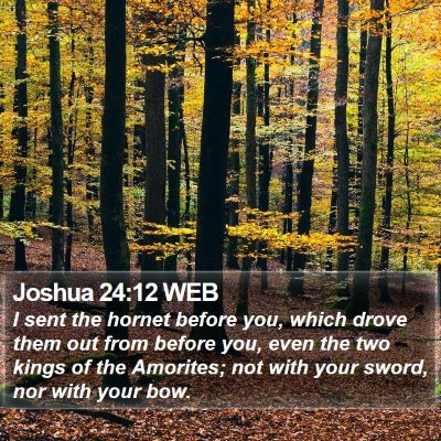 Joshua 24:12 WEB Bible Verse Image