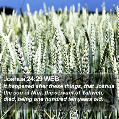 Joshua 24:29 WEB Bible Verse Image