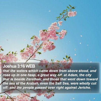 Joshua 3:16 WEB Bible Verse Image