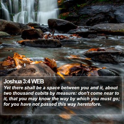 Joshua 3:4 WEB Bible Verse Image