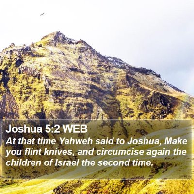 Joshua 5:2 WEB Bible Verse Image