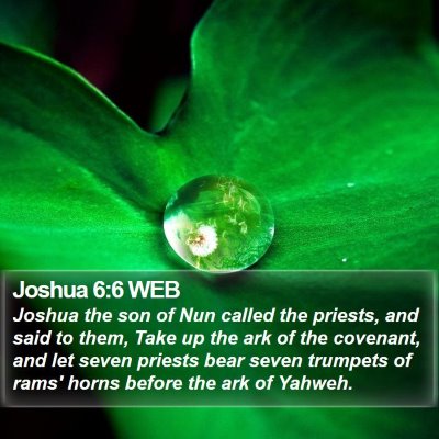 Joshua 6:6 WEB Bible Verse Image