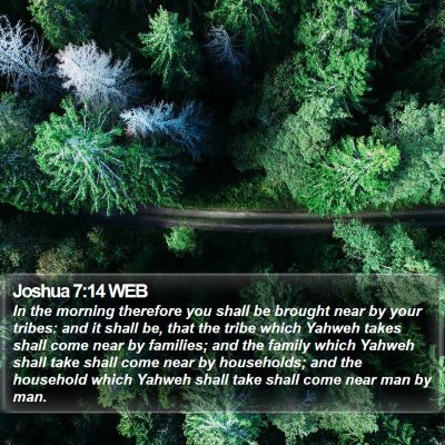 Joshua 7:14 WEB Bible Verse Image
