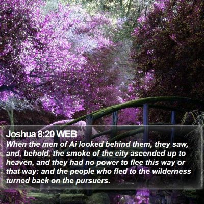 Joshua 8:20 WEB Bible Verse Image