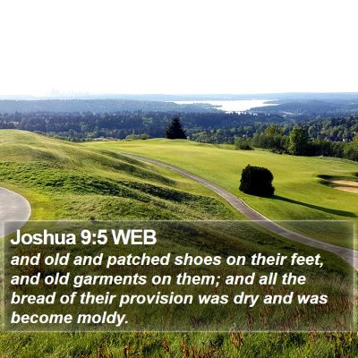 Joshua 9:5 WEB Bible Verse Image