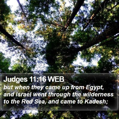 Judges 11:16 WEB Bible Verse Image