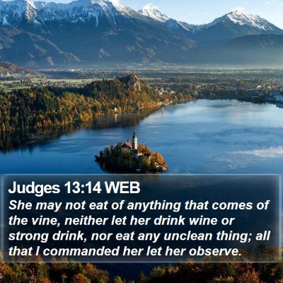Judges 13:14 WEB Bible Verse Image