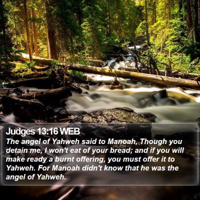 Judges 13:16 WEB Bible Verse Image