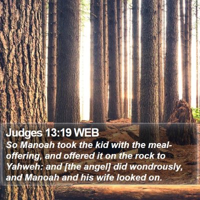 Judges 13:19 WEB Bible Verse Image