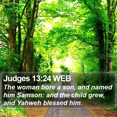 Judges 13:24 WEB Bible Verse Image