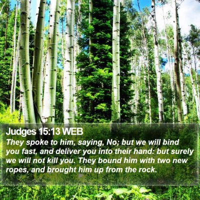 Judges 15:13 WEB Bible Verse Image