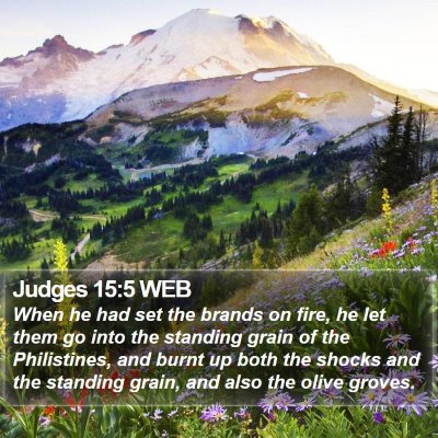 Judges 15:5 WEB Bible Verse Image
